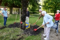 100 jarige Rijkje Maters plant boom Vroonhoven