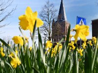 Lente 2020 (11)