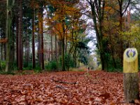 Wandelen S&B (7)