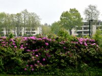 WIL 2584