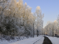 Winter2 (2)  De Brug 2008