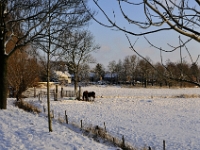 Winter2009 (2)  De Brug 2008