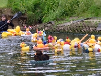 Lucky Duck Race (5)  Foto Wil Feijen