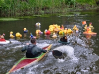 Lucky Duck Race (6)  Foto Wil Feijen