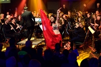 Harmonie met reis rond de wereld