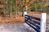 Natuurwerkdag Dutmella