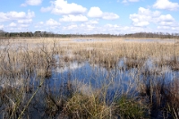 Oudmeer met SonseHeide