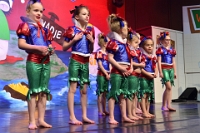 Showfestival Dommelsoppers