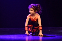 Avanti avond Bongerd (3)