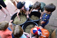 Kraamuurtje Hertenkamp (12)