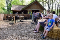 Kraamuurtje Hertenkamp (8)