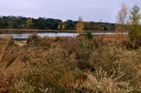 Oudmeer (1)