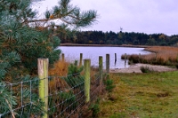 Oudmeer (2)