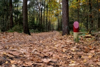 Wandelen S&B (8)