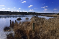Winter Oudmeer (12)