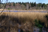 Winter Oudmeer (3)