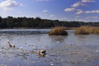 Winter Oudmeer (9)