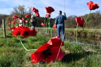 Klaprozen langs de Dommel (5)