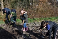 Voedselbos planten plaatsen (10)