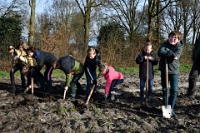 Voedselbos planten plaatsen (12)