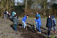 Voedselbos planten plaatsen (22)