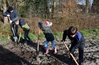 Voedselbos planten plaatsen (9)