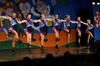 Dommelsoppers (7)