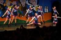 Dommelsoppers (9)