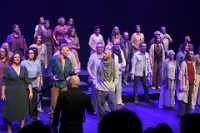 Passion Sincere Dommelhuis