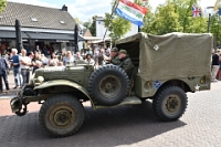 WIL 6225