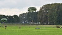 WIL 7807