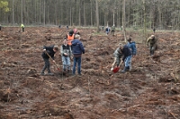 Boomplantdag Oud meer