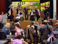 Carnaval Zonhove (8)  Foto Wil Feijen